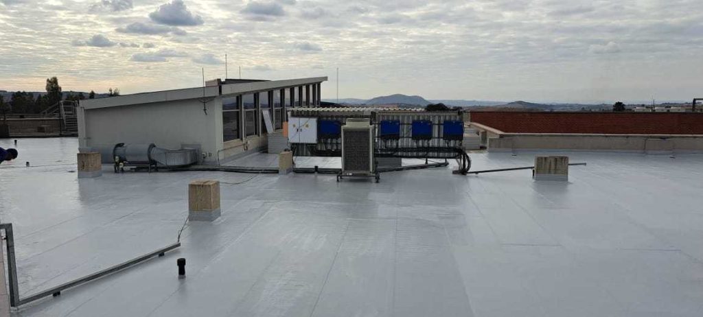 whatsapp image 2026 03 26 at 9.28.33 pm (1)